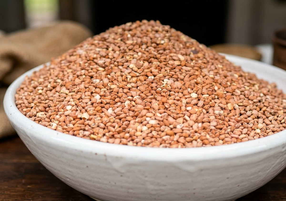 Dried Honey(Oloyin) Beans | For Ewa Agoyin & Beans and Plantain